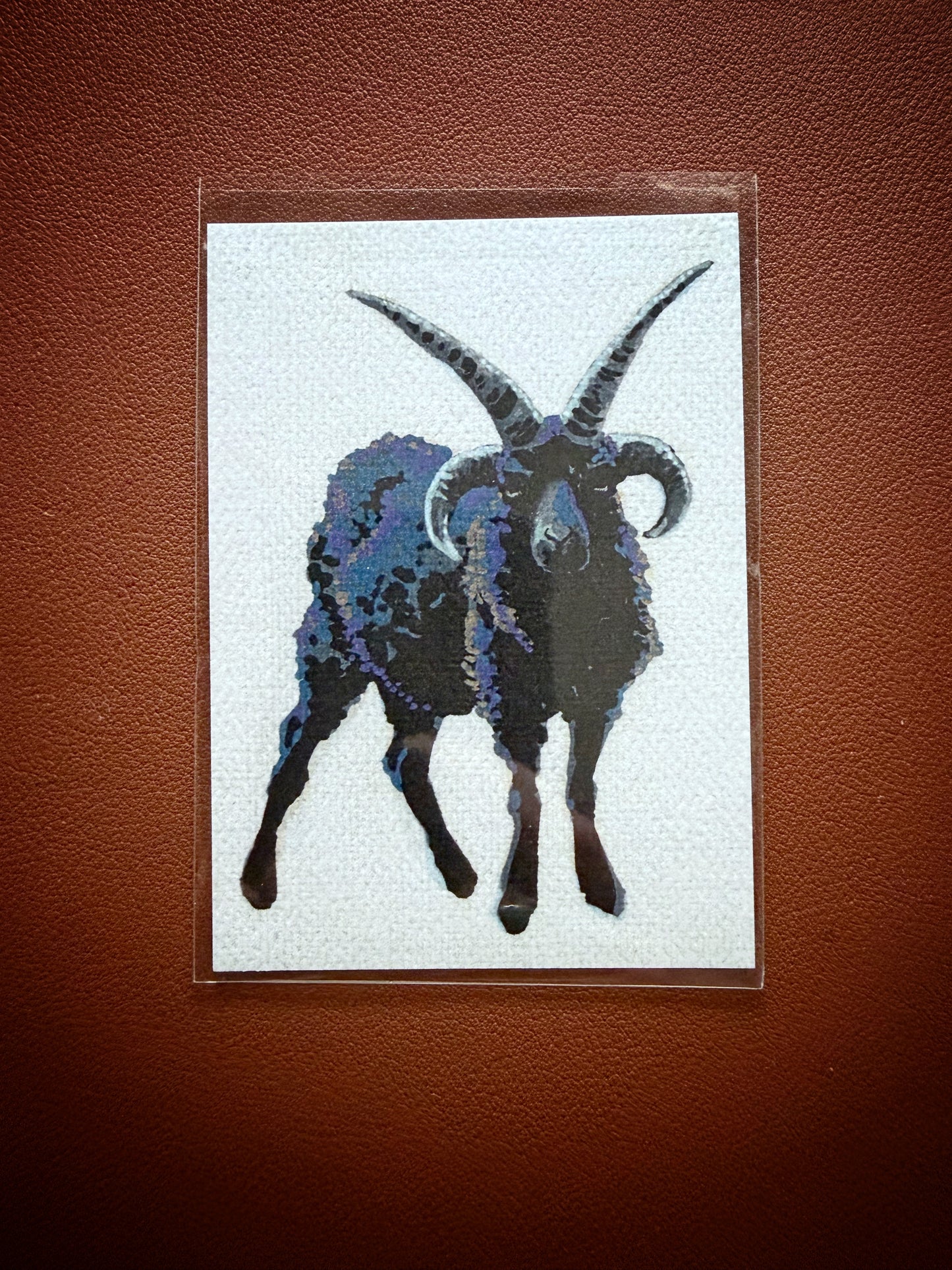 Hebridean Sheep Limited Edition ACEO Mini Art Print