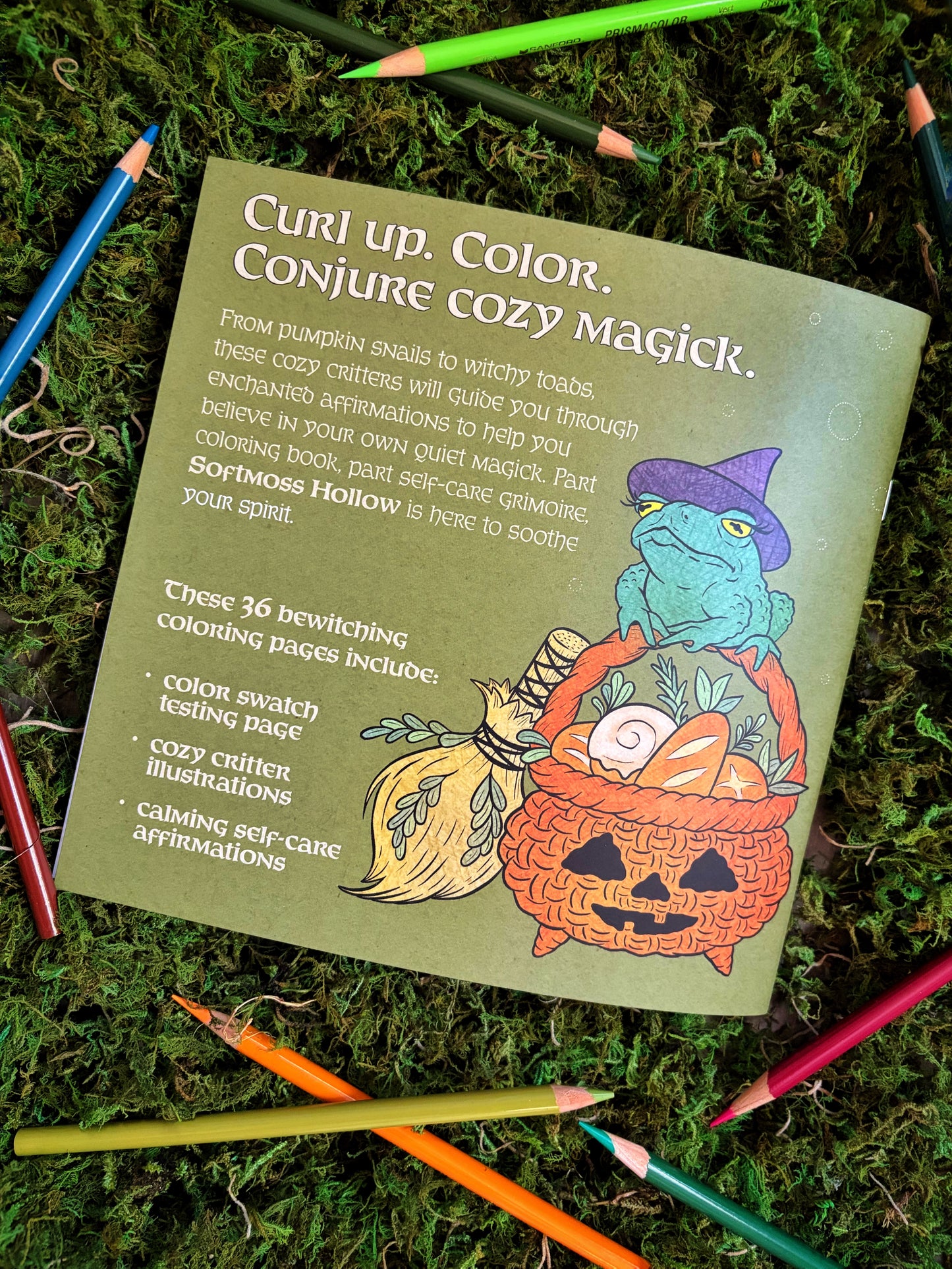 Coloring book back cover with the headline 'Curly up. Color. Conjure Cozy Magick.' on a mossy background with colored pencils.