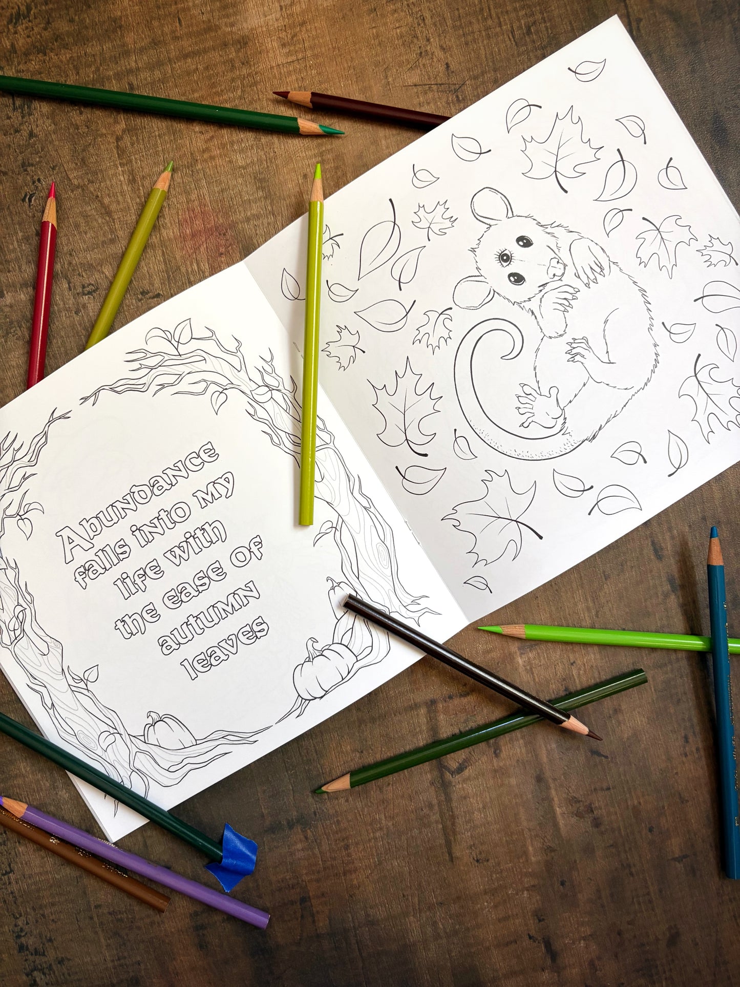 Coloring book with opossum animal illustration among fall leaves, and colored pencils on a wooden surface