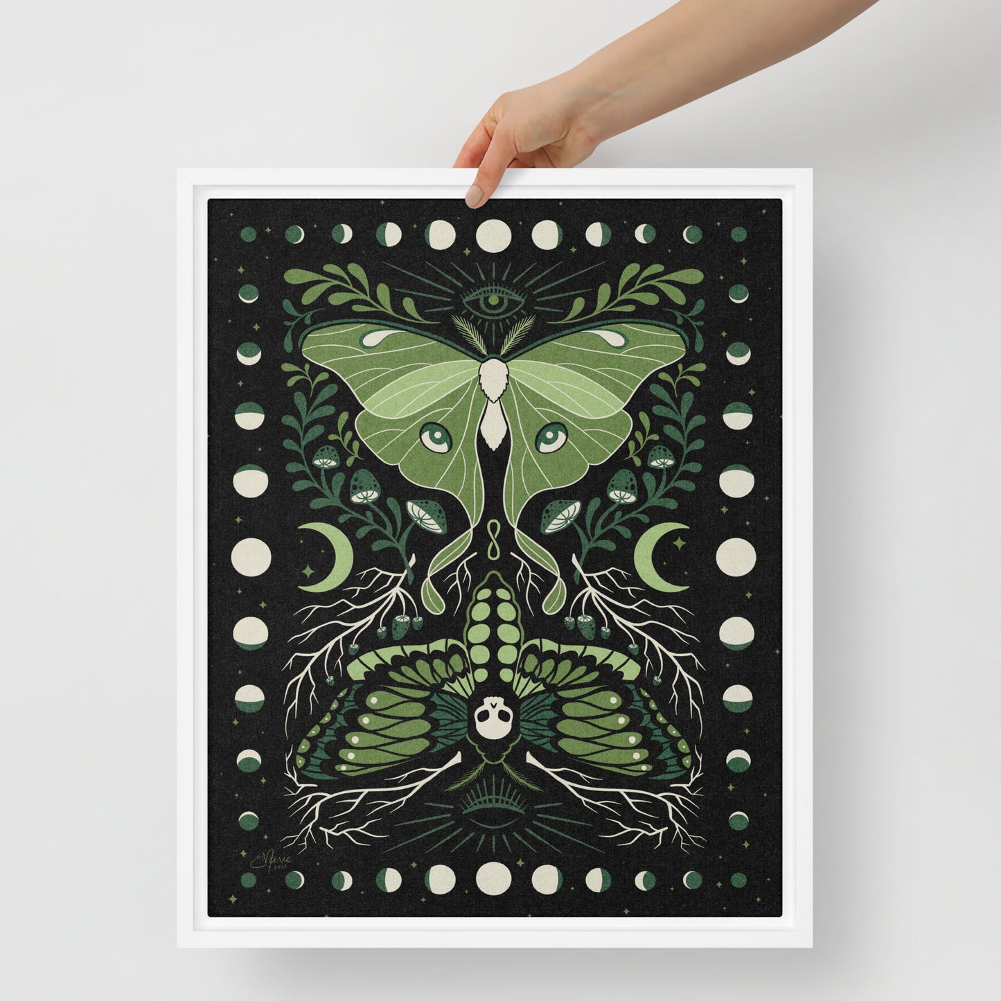 Moths & Moons Framed Canvas Print