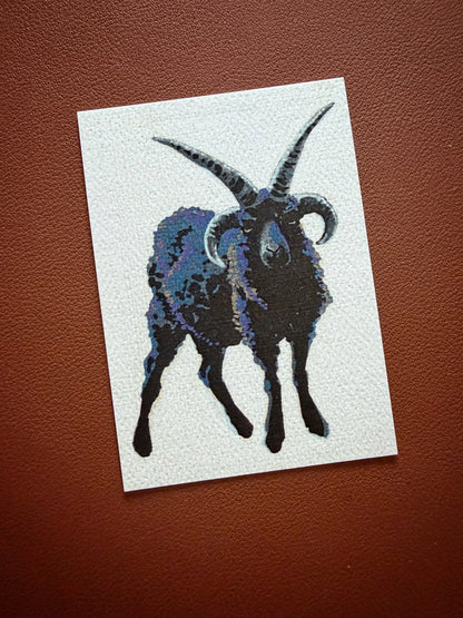 Hebridean Sheep Limited Edition ACEO Mini Art Print