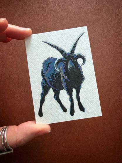 Hebridean Sheep Limited Edition ACEO Mini Art Print