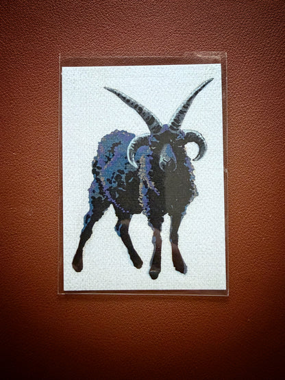 Hebridean Sheep Limited Edition ACEO Mini Art Print