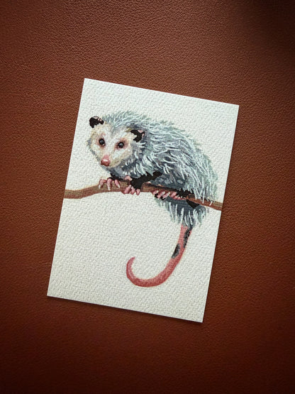 Trash Cat Limited Edition ACEO Mini Art Print