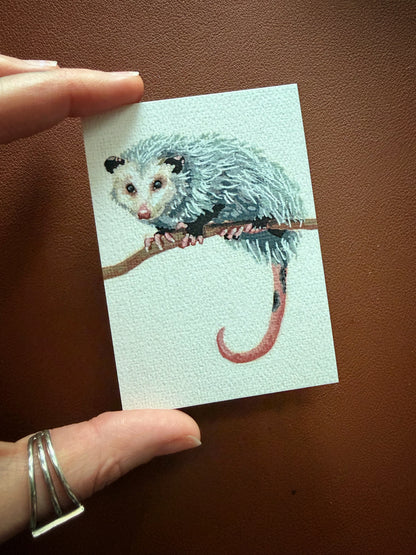 Trash Cat Limited Edition ACEO Mini Art Print