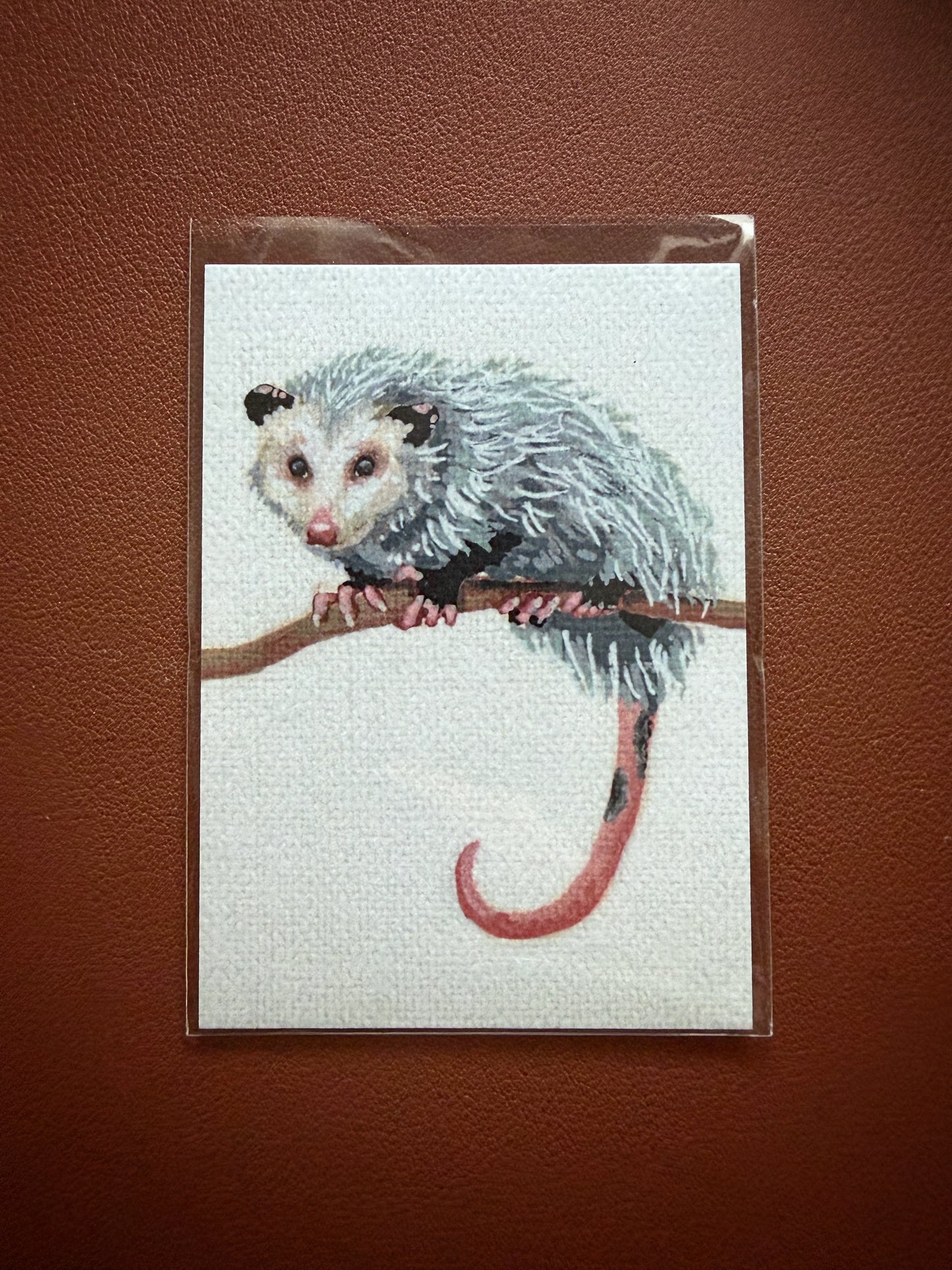 Trash Cat Limited Edition ACEO Mini Art Print