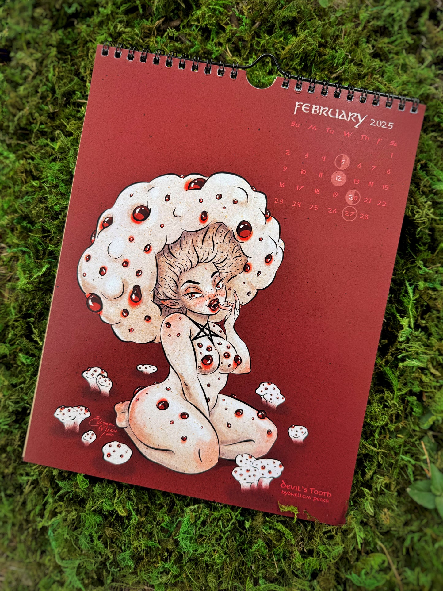 2025 Pin-Up Calendar: The Toadstool Coven