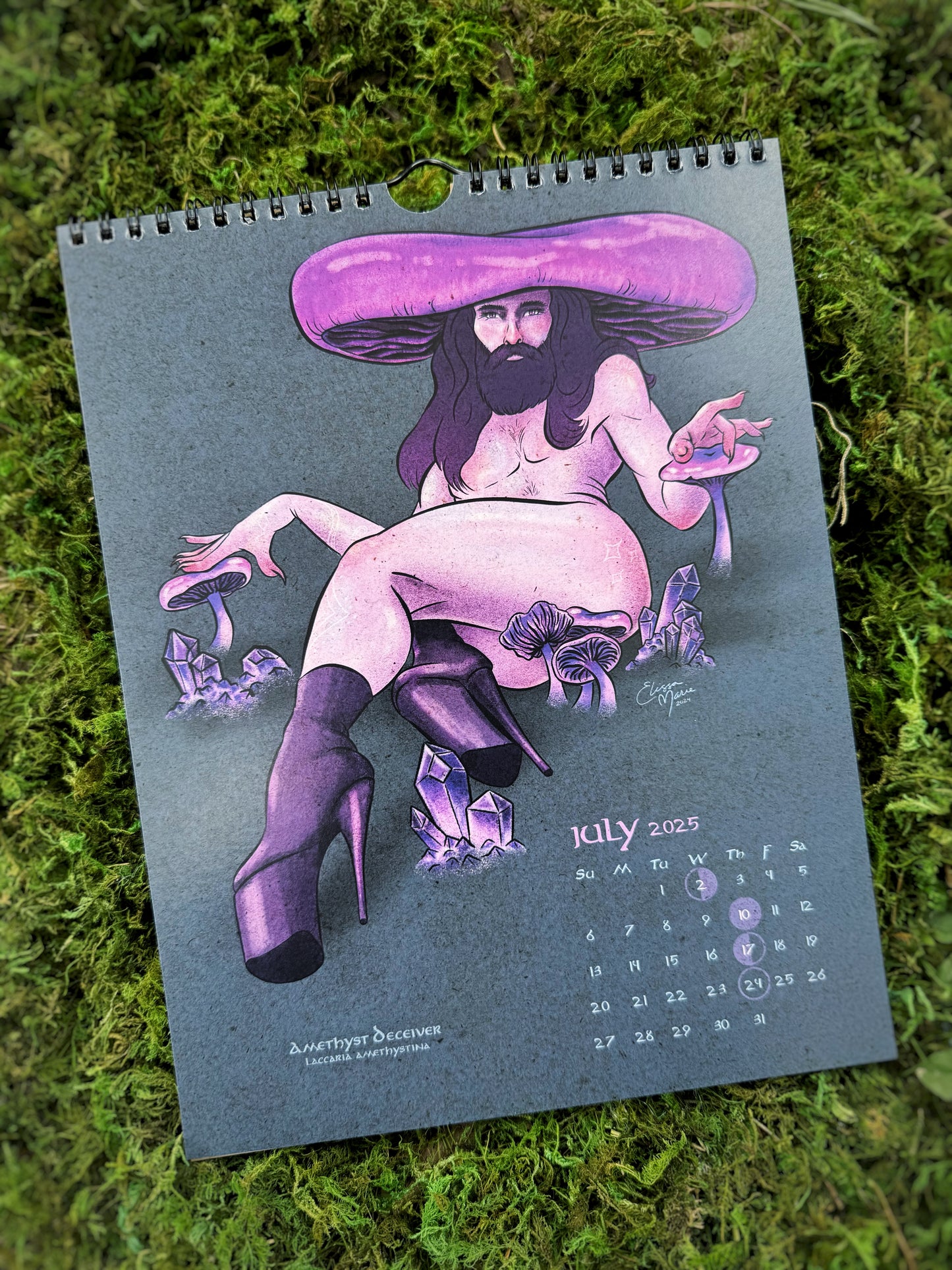 2025 Pin-Up Calendar: The Toadstool Coven