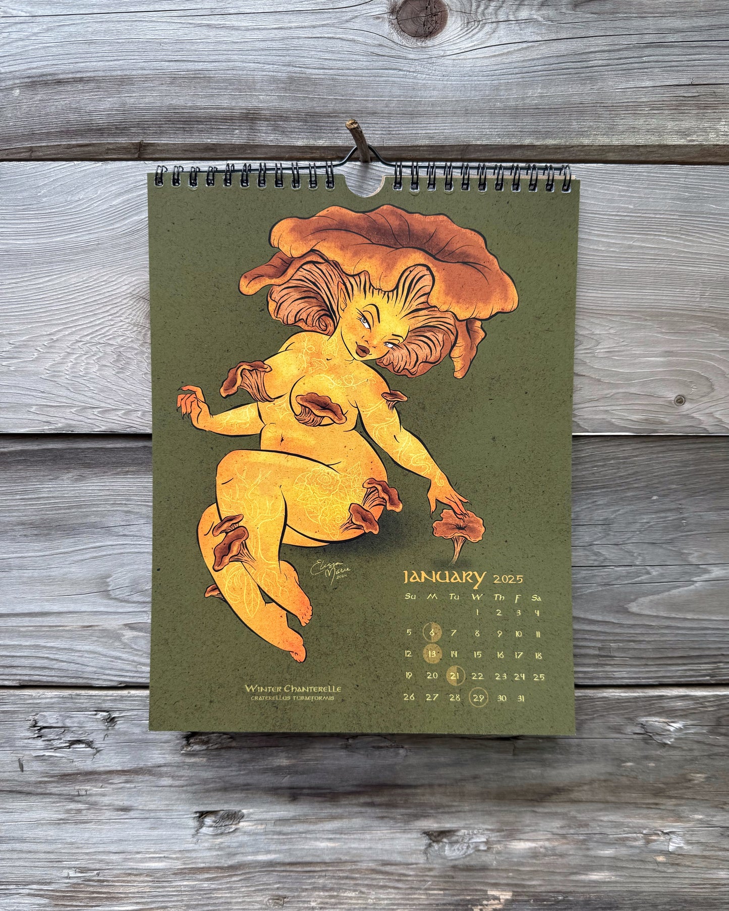 2025 Pin-Up Calendar: The Toadstool Coven