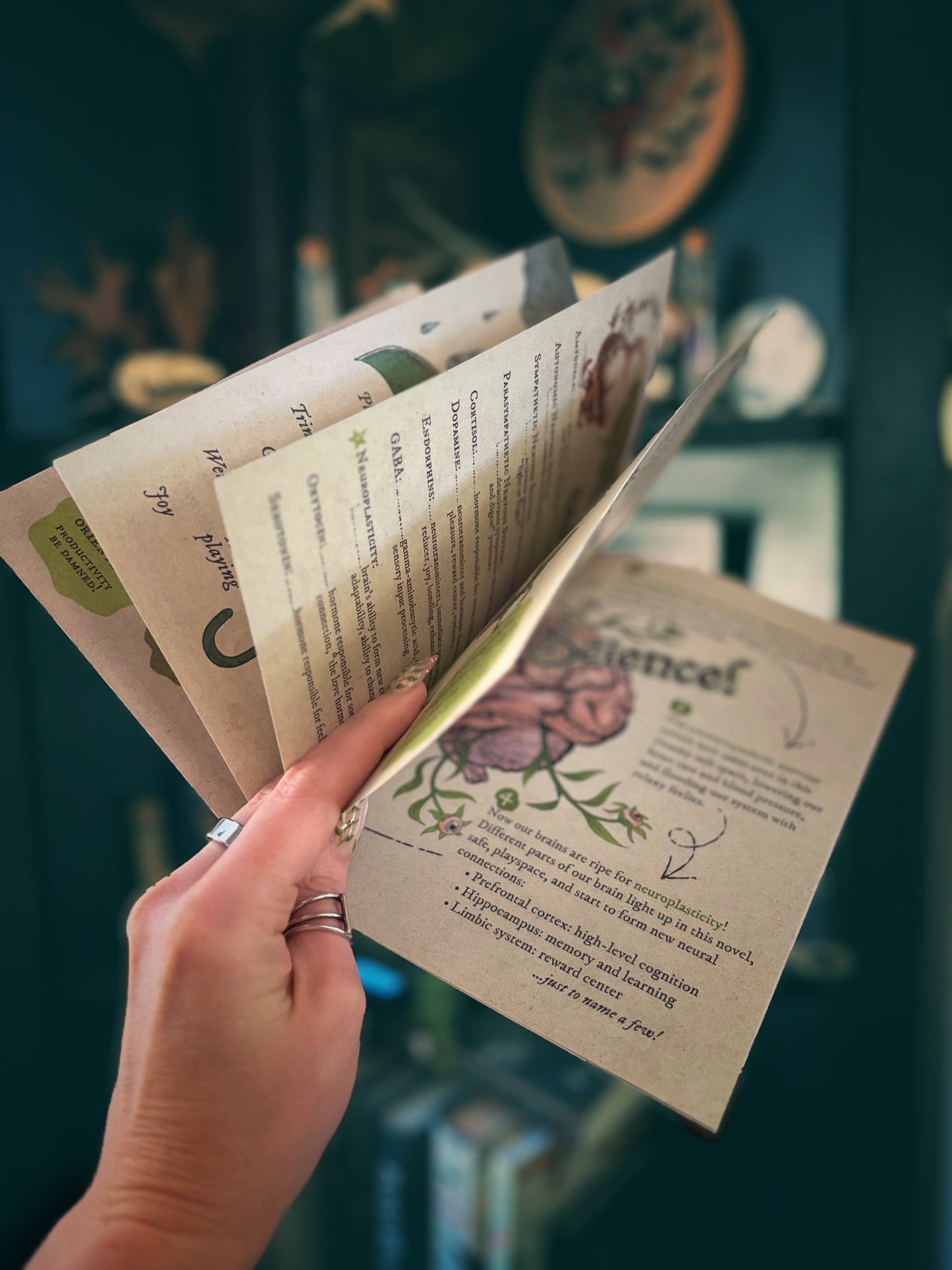 Your Brain on Whimsy: The Neuroscience of Whimsicality Zine