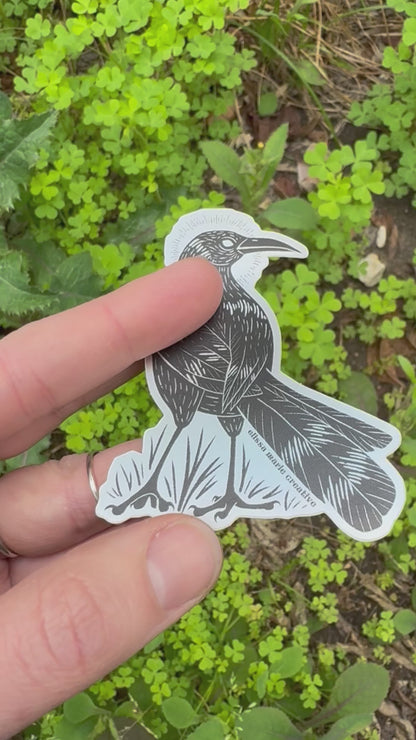Blackbird Holo Sticker